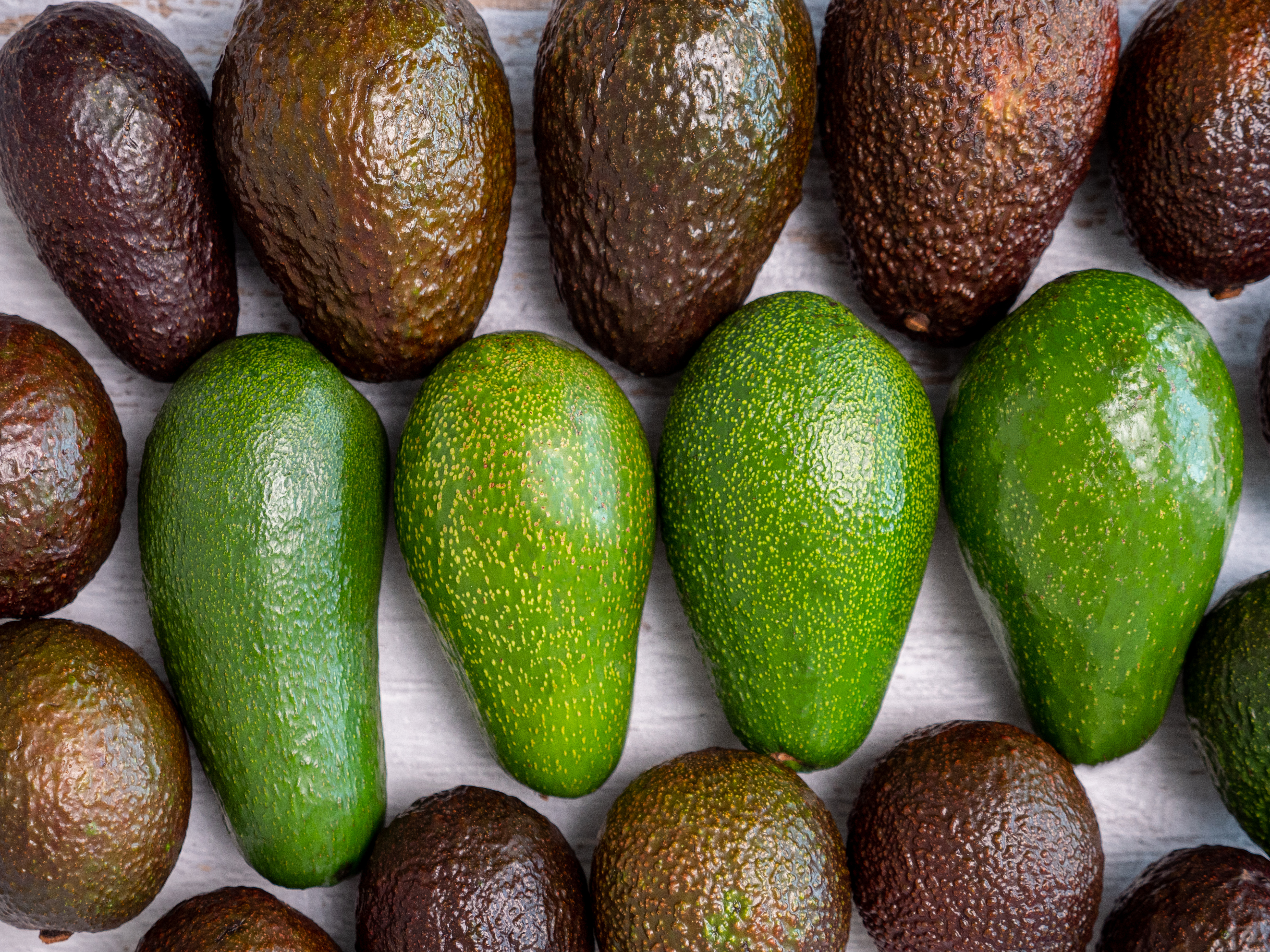 Fruit Services Collective øger kølekapaciteten med avancerede pushback-reoler