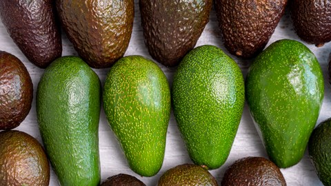 Fruit Services Collective øger kølekapaciteten med avancerede pushback-reoler